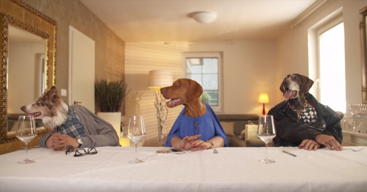 Pasji Test Surove Hrane Za Pse GOOD4DOGS