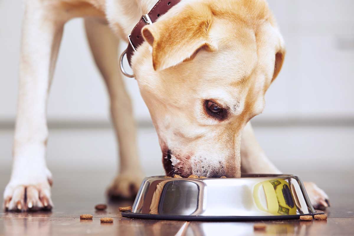 Kako započeti sa sirovom hranom