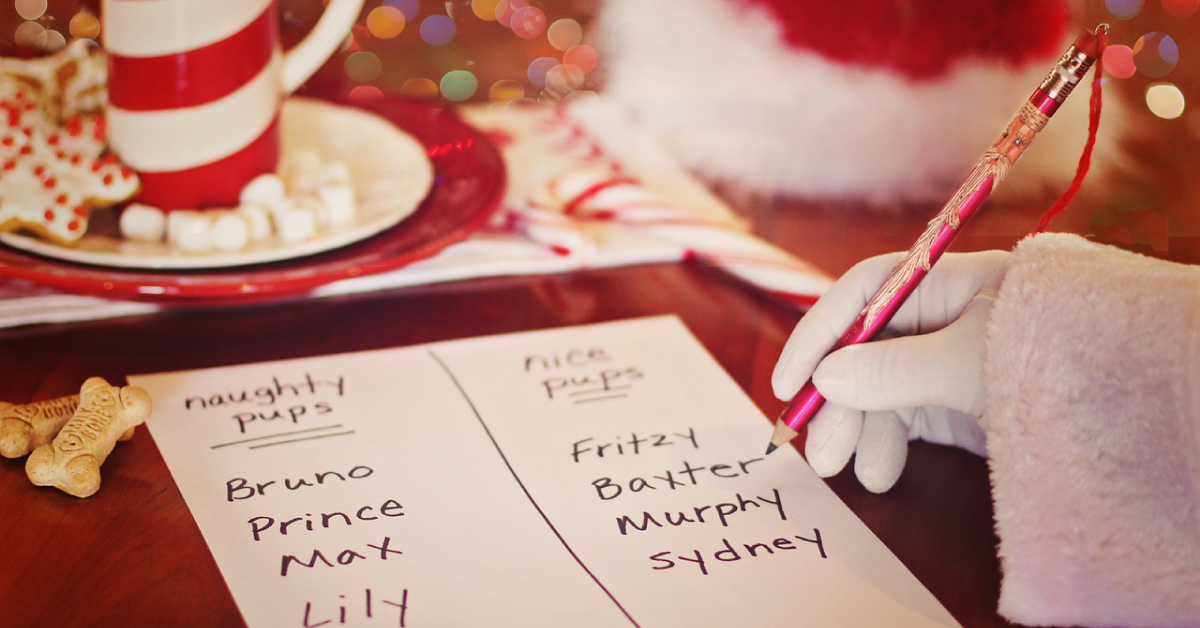 Kakšno Božično Darilo Izbrati Za Psa? 1 Kakšno Božično Darilo Izbrati Za Psa?