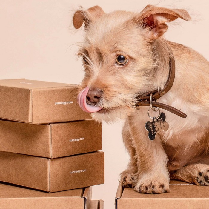 OBVESILO - Dostave v času COVID-19