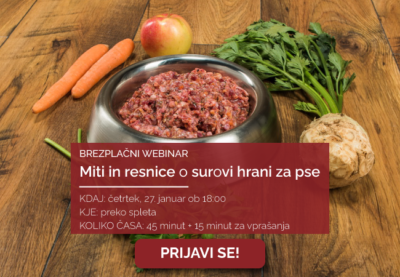Ustrezna izbira hrane za pse – katera hrana je prava, da bo vaš kuža zdrav in zadovoljen?