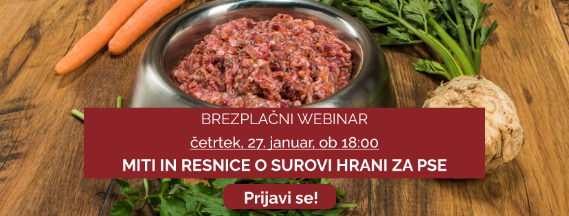 Surova hrana kot ustrezna podpora pozimi