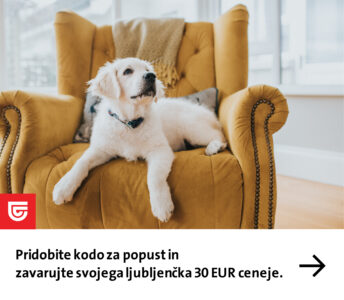 Za negovanega in zdravega psa 2 Za negovanega in zdravega psa