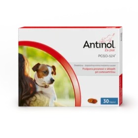 Antinol® Za pse
