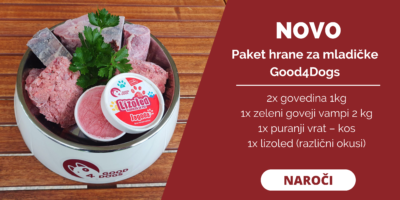 Intervju z vzrediteljico: Trdno verjamem, da je prehranjevanje s surovo hrano za pse najboljše